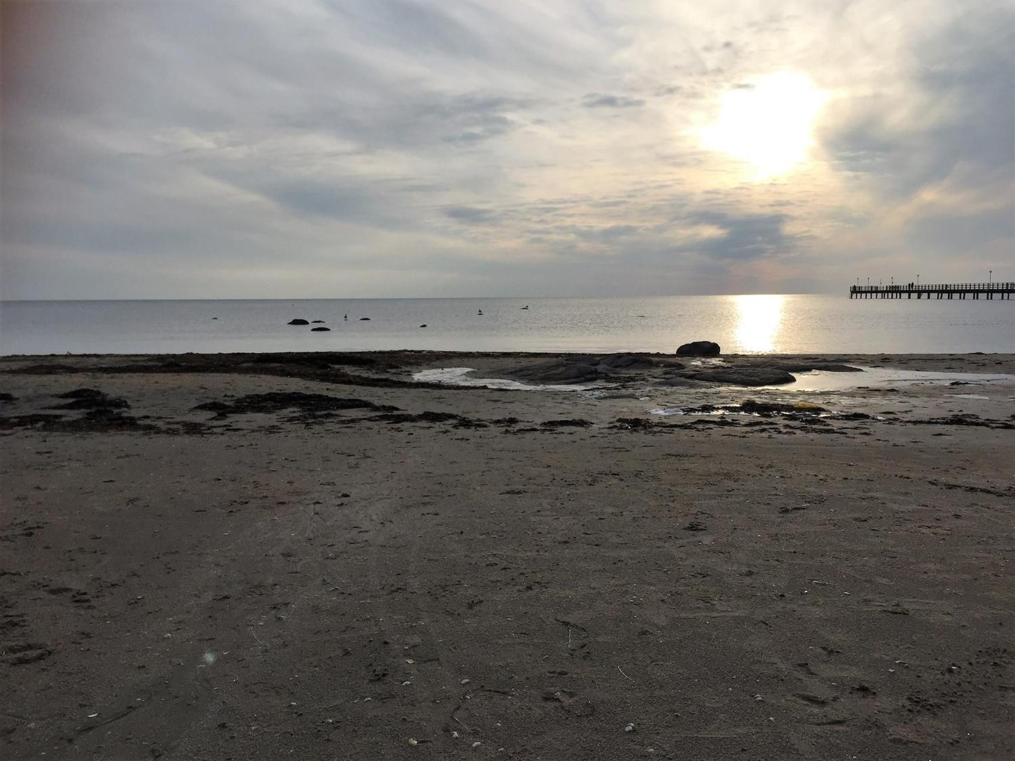 Hotell Vesterhavet فالكنبرغ المظهر الخارجي الصورة